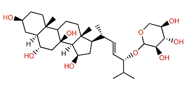 Distolasteroside D7